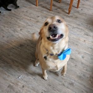 Meet your Posher, Mitch